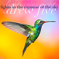 Drew Five - Lights In The Expanse Of The Sky